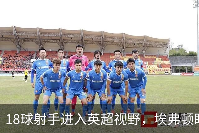 18球射手进入英超视野，埃弗顿盯上26岁前锋